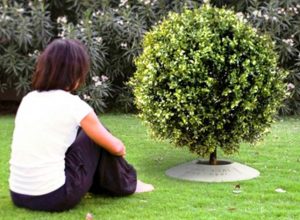 Watching Tree of Loved One Grow