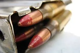 Ashes in ammunition
