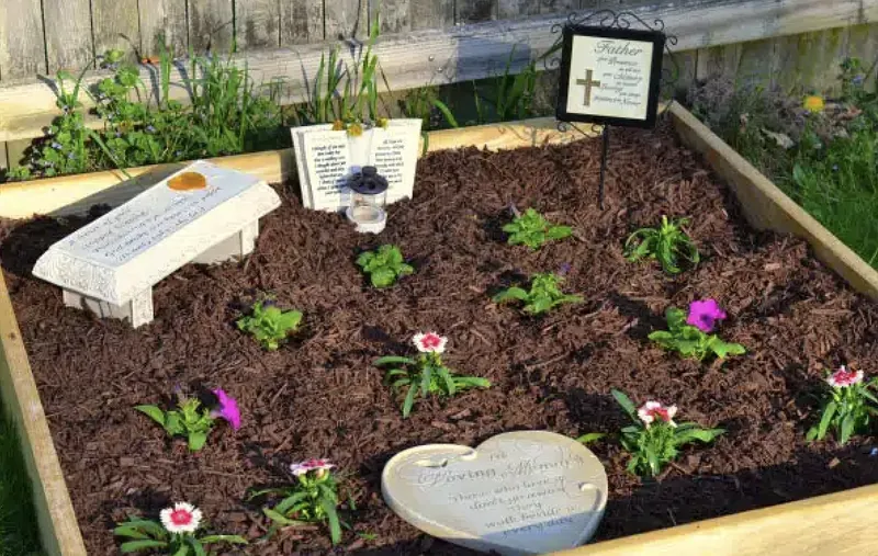 A memorial garden or rose bush