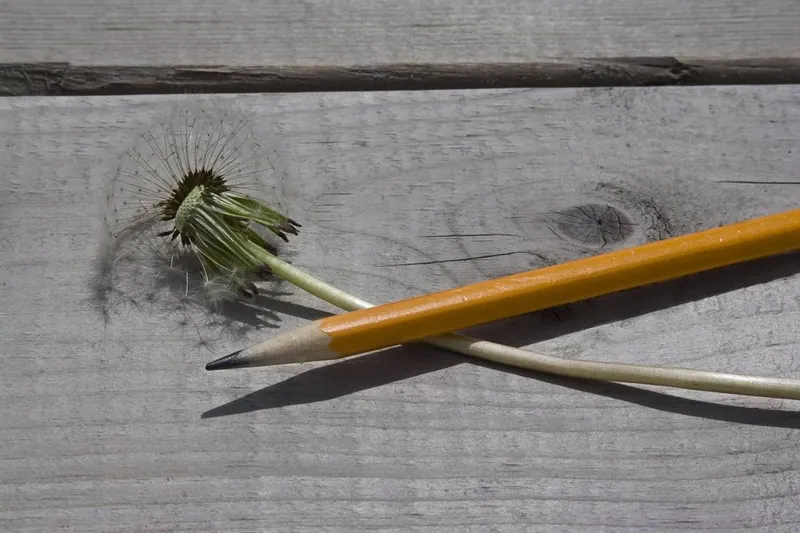 Pencils from cremation carbon