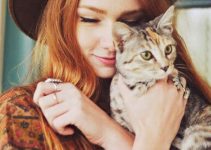 12 Things You Need to Know About The Cat Cremation Process