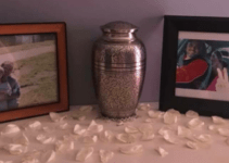 My Favorite 56 Burial Urns Available For Interring Ashes (2023 Review)