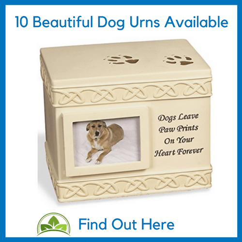 how much to have a dog put down and cremated