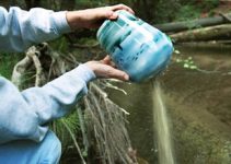 10 Things You Don’t Know About Cremains: Our Experts Explain