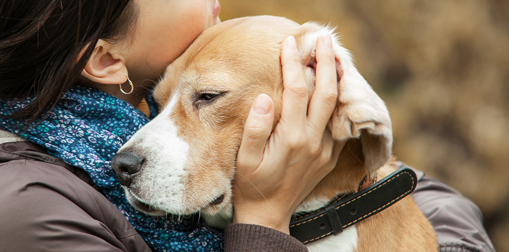 cremation places for dogs