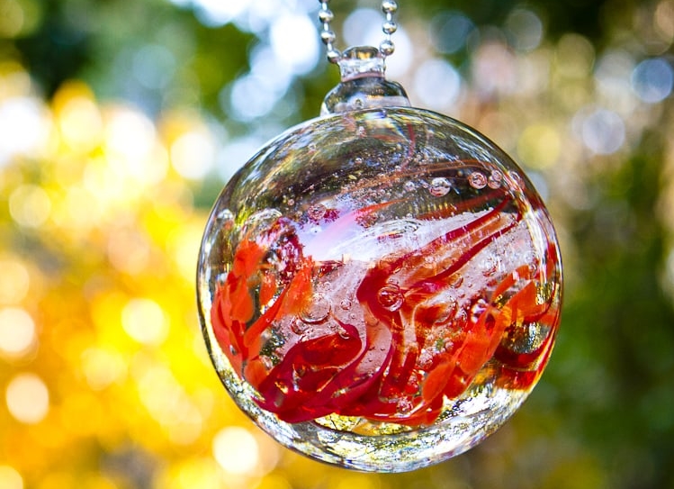 Red Ball hanging from Tree