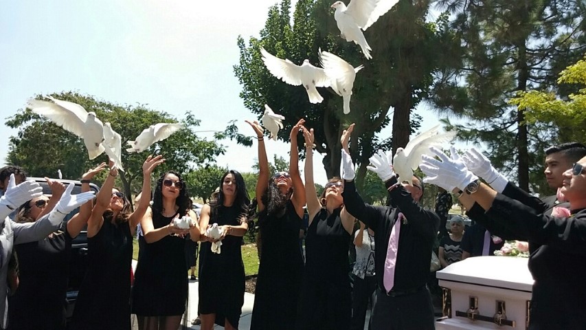 Releasing Doves