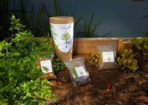 6 Fantastic Tree Urn Kits & Pods For Natural Burial 6 Fantastic Tree Urn Kits & Pods For Natural Burial
