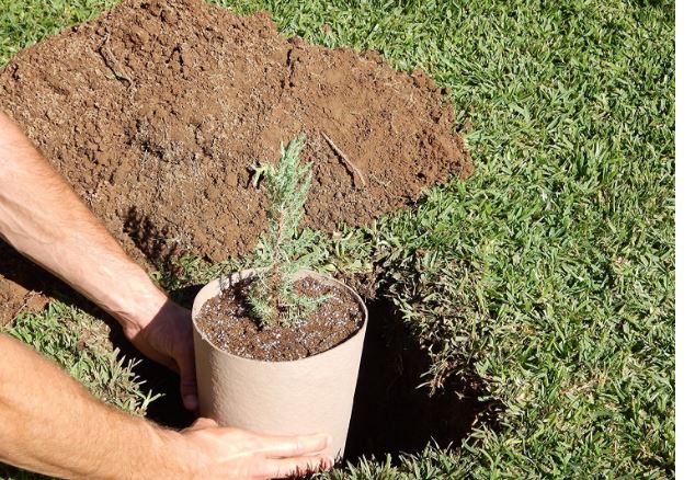 Planting Urn