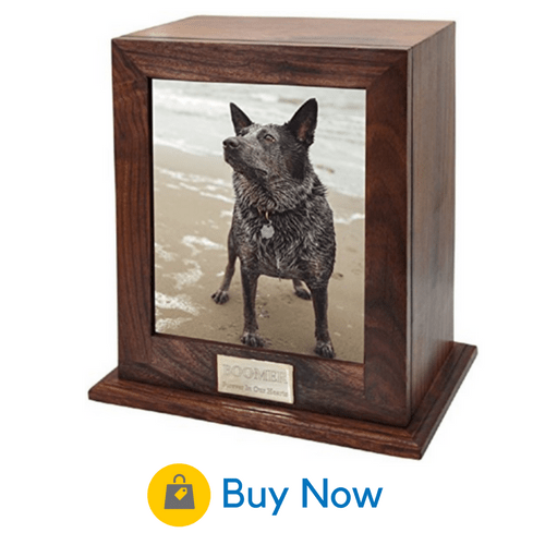 urn for small dog ashes