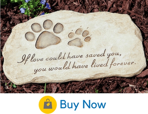 10 Precious Dog Headstones That You Can 