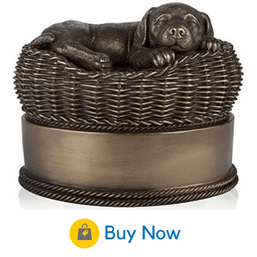 Dog urns hot sale with photo