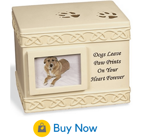 Personalized best sale dog urn