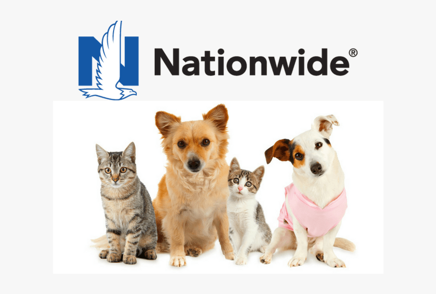 Nationwide Pet Insurance [2022 Review]: The Right Choice For You?