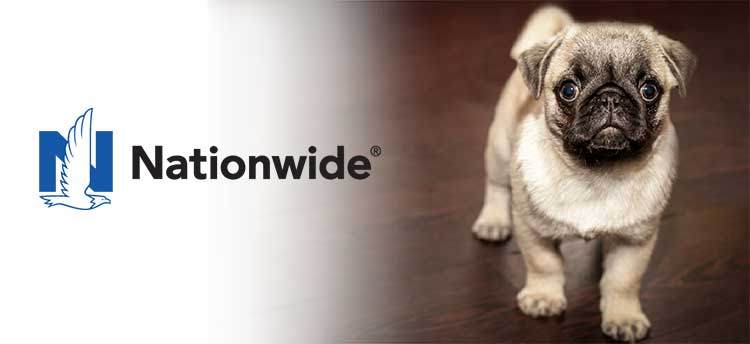 Nationwide Pet Insurance [2022 Review]: The Right Choice For You?