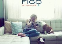 Figo Pet Insurance Review 2023: The Best Coverage For Pets?