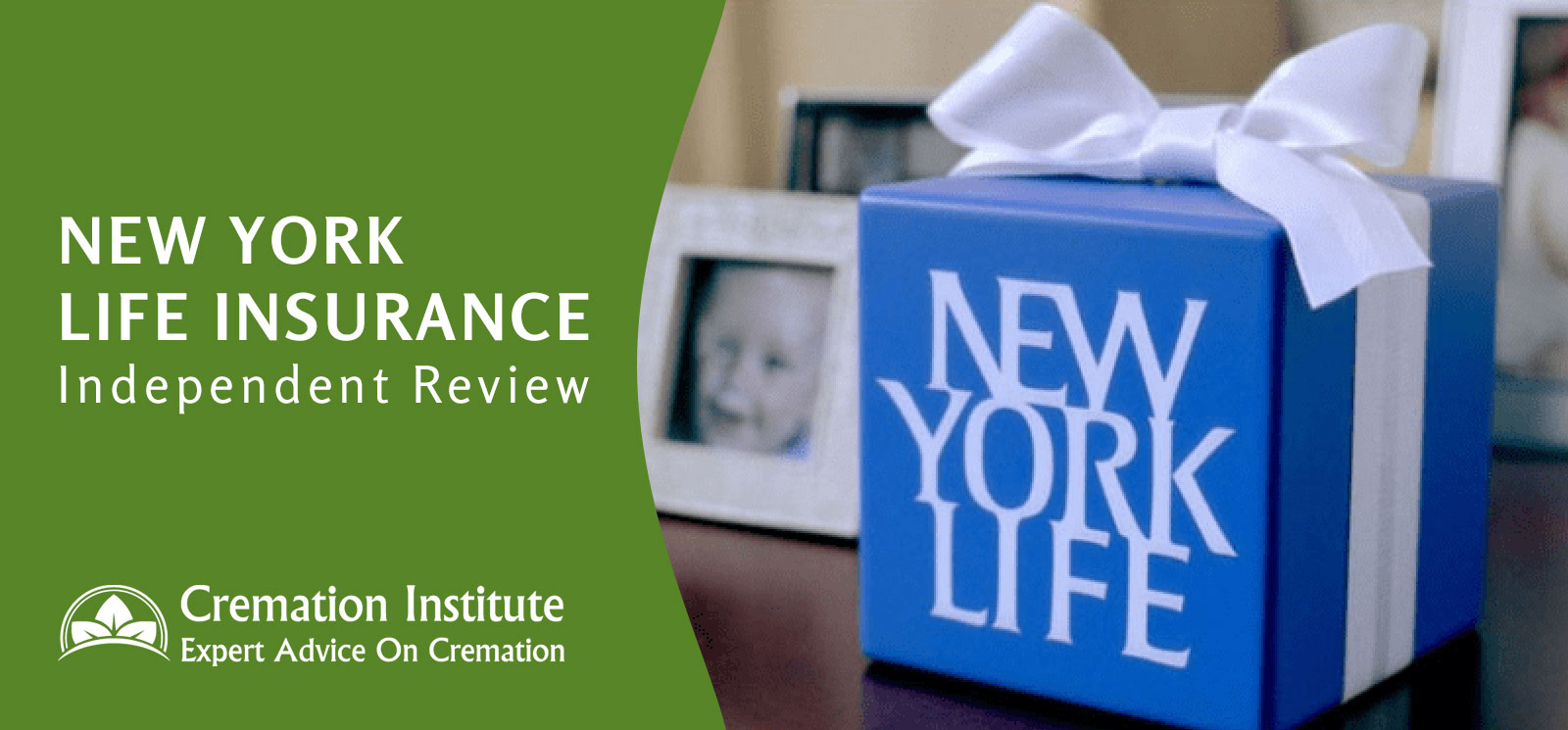 Reviews For New York Life Insurance