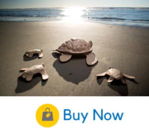 turtle sea scattering urn