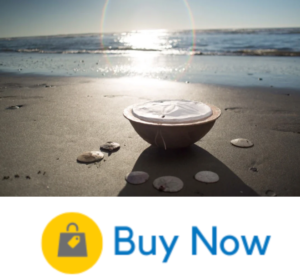 Sand Dollar Water Burial Urn