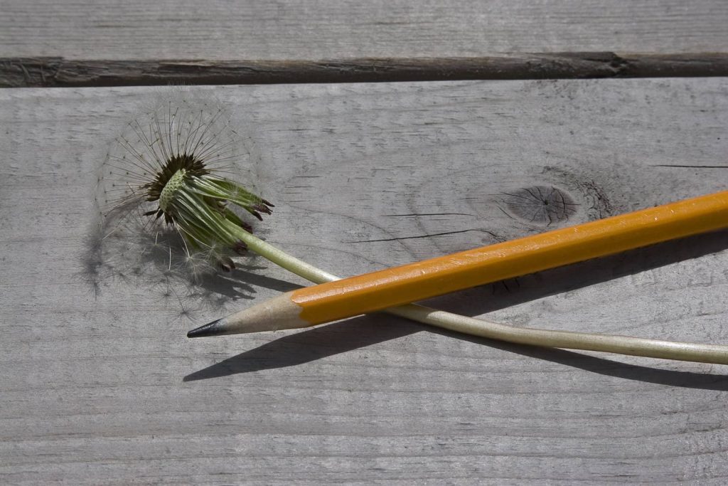 Pencils from cremation carbon